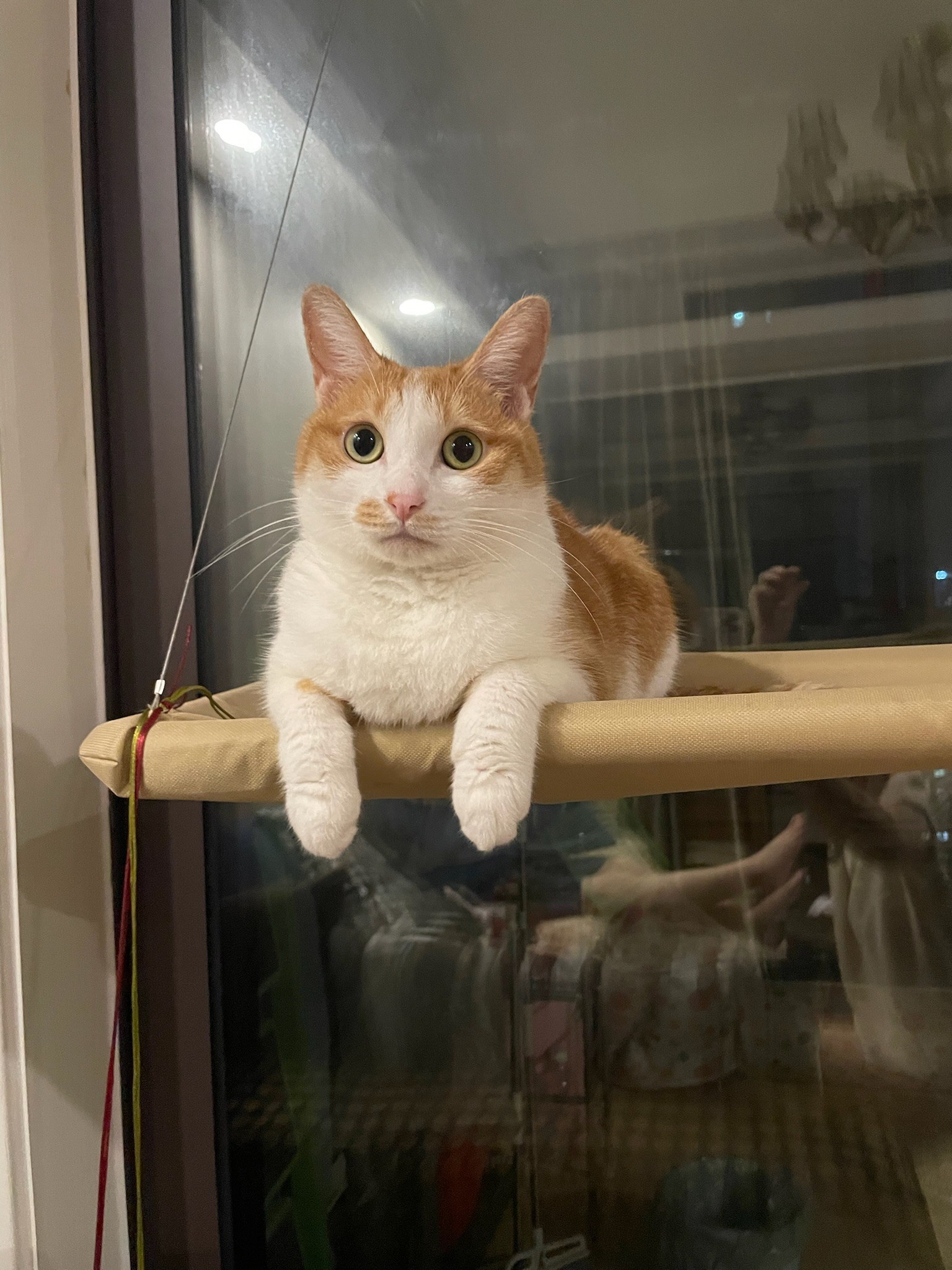 Click for more details on project 7 of 21